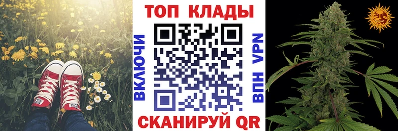 Магазины продажи наркотиков Калининград Alpha PVP  Галлюциногенные грибы  Гашиш  МАРИХУАНА  Меф мяу мяу 