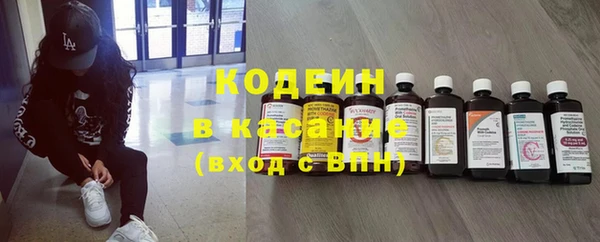 индика Богородицк
