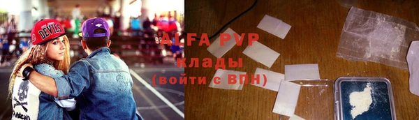 индика Богородицк