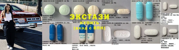 индика Богородицк