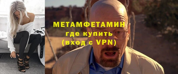 индика Богородицк
