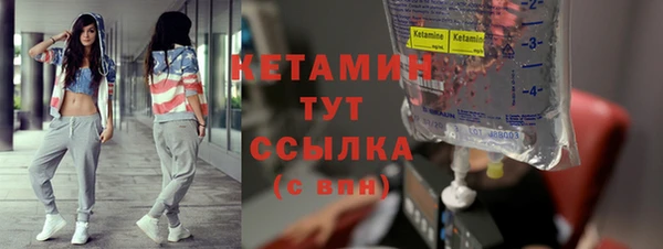 индика Богородицк