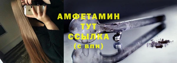 гашик Богданович
