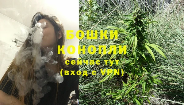 гашик Богданович