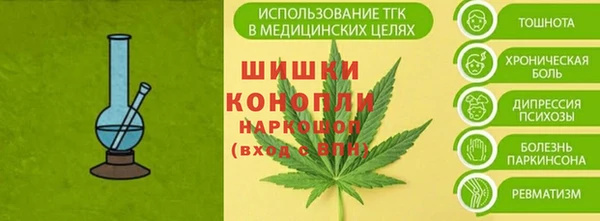 индика Богородицк