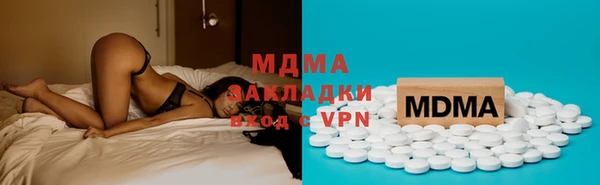 гашик Богданович