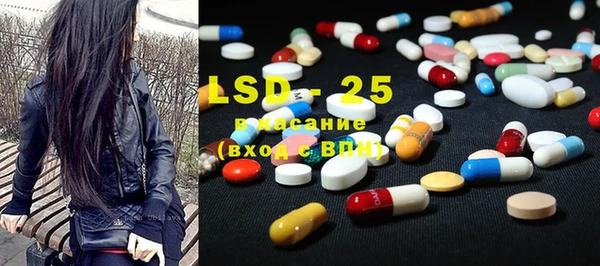 индика Богородицк