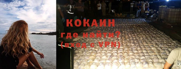 гашик Богданович