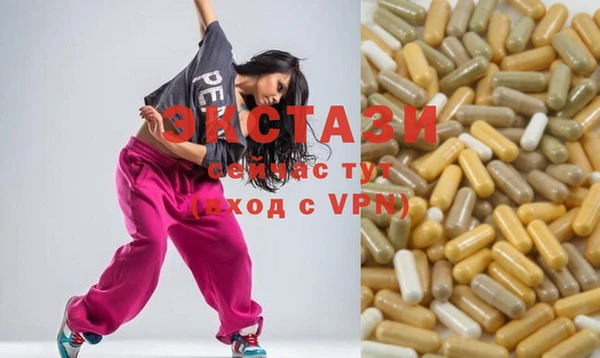 индика Богородицк