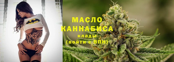 индика Богородицк