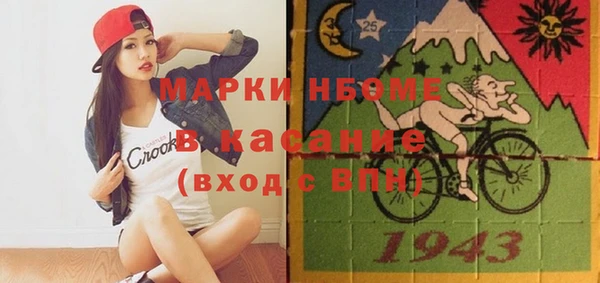 индика Богородицк